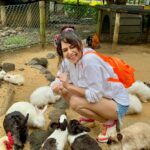Amruta Khanvilkar Instagram - #whataday @caselamauritius has absolutely amazing things to offer when it comes to #encounterswithanimals …..they have this unique concept of riding a #squadbike in the jungle where you can witness animals in their natural habitat … a #walkwithlionsmauritius and so much more …. If you are an #adventurerider there’s a self operating #rollercoasterride a #zipline and so much more Me & @aditik26 had a great time and all thanks to @caselamauritius and their amazing staff If you are coming to #mauritusisland this is a #mustdoattraction …. Take my word for it Ps - @caselamauritius is only 15 mins away from @sofitelmauritiuslimperial @caselamauritius @mauritius_india @europamedia.ent @mauritius.tourism #leisurepark #caselamauritius #mauritiusnow #feelourislandenergy #mauritiustourism #amrutakhanvilkar #amutravels2024 #travelwithamu Maurituis