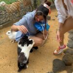 Amruta Khanvilkar Instagram - #whataday @caselamauritius has absolutely amazing things to offer when it comes to #encounterswithanimals …..they have this unique concept of riding a #squadbike in the jungle where you can witness animals in their natural habitat … a #walkwithlionsmauritius and so much more …. If you are an #adventurerider there’s a self operating #rollercoasterride a #zipline and so much more Me & @aditik26 had a great time and all thanks to @caselamauritius and their amazing staff If you are coming to #mauritusisland this is a #mustdoattraction …. Take my word for it Ps - @caselamauritius is only 15 mins away from @sofitelmauritiuslimperial @caselamauritius @mauritius_india @europamedia.ent @mauritius.tourism #leisurepark #caselamauritius #mauritiusnow #feelourislandenergy #mauritiustourism #amrutakhanvilkar #amutravels2024 #travelwithamu Maurituis