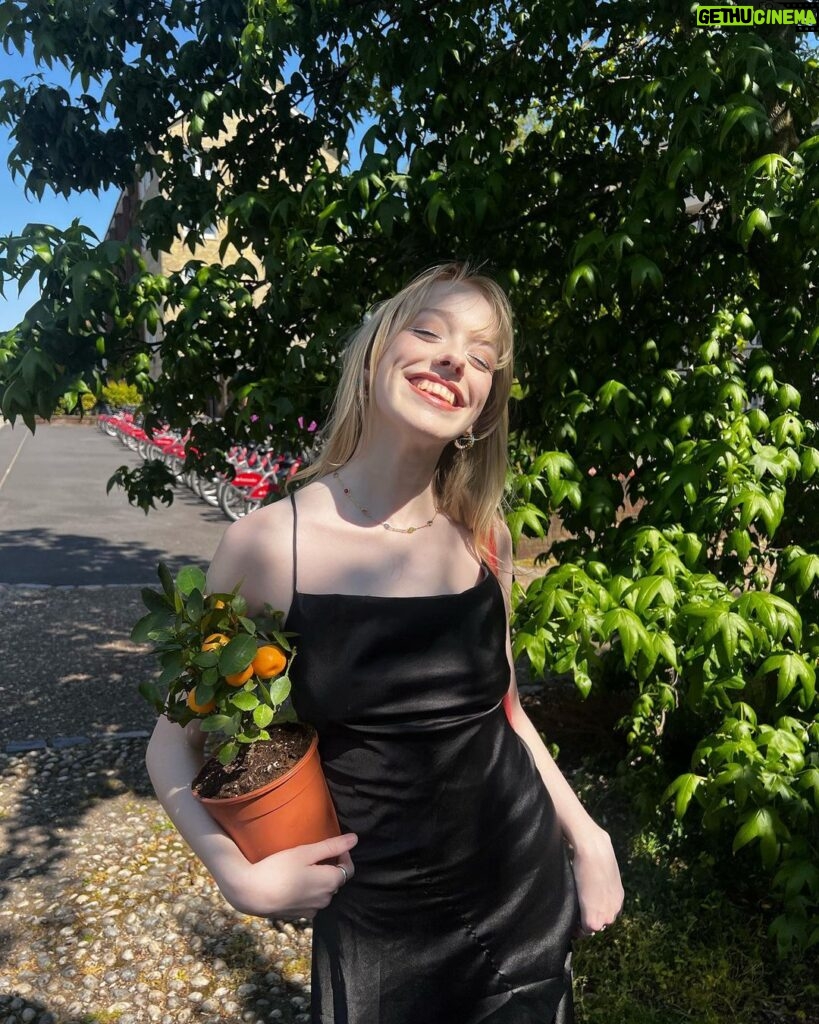 Amybeth McNulty Instagram - 🌻 Flower Market