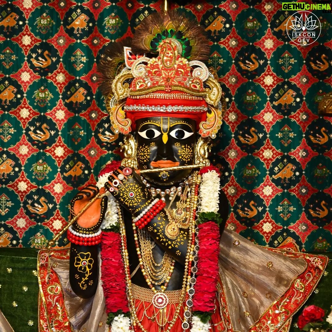 Anagha Bhosale Instagram - namaste girirajaya sri govardhana namine ashesha klesha nashaya paramananda dayine “I offer my most respectful obeisances to Giriraja. His name is Govardhan. He takes away all one’s miseries and instead gives one the highest ananda, the highest bliss—paramananda.” Today is the 7th installation Anniversary of Sri Giriraj at Govardhan Eco Village #Giriraj #Vrindavanforest #Govardhanecovillage #radhanathswami