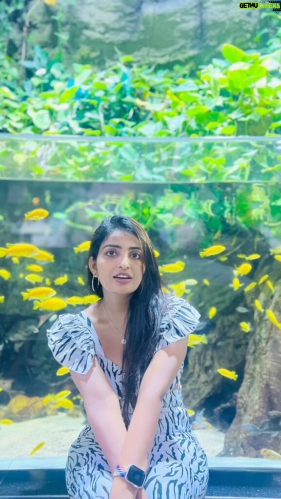 Ananya Nagalla Instagram - When the background fishes matched with your dress🤷‍♀️ #ananyanagalla