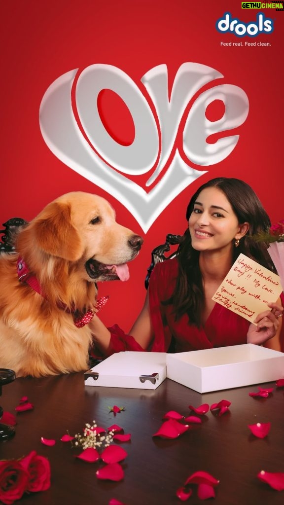 Ananya Panday Instagram - Love wrapped in surprises! 👀💝 My Valentine’s Day exchange with my furry friend was all about delicious @droolsindia food and treats & heartwarming love notes 💌 How are you celebrating the day of love with your furry friend? 🐾 - #valentine #valentinesday #pets #droolsindia #ad