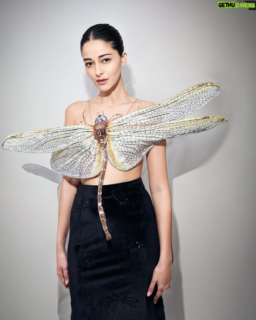 Ananya Panday Instagram - This was such a moment! 🧿😱 Walking for @rahulmishra_7 at Paris Couture Week ❤🦋🐝🐞🪲🕸🪰 I loved the idea behind his collection ‘SUPERHEROES’ which draws attention to the nuances of sharing life with species of insects and reptiles that inhabit the environment with us. In pursuit of building our lives on the planet, we may have taken over their habitats and driven them to extinction. 💔 @divyabmishra @fetch_india Makeup - @stacygomes Hair Stylist - @alexis.parente Styling - @rhiakapoor