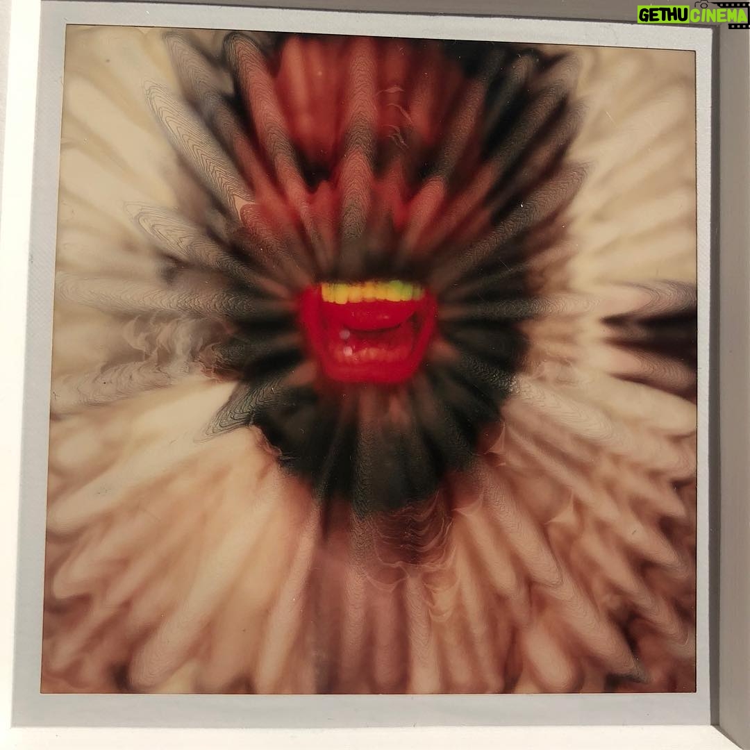 Anderson Cooper Instagram - Polaroid by artist #LucasSamaras. @craigfstarrgallery