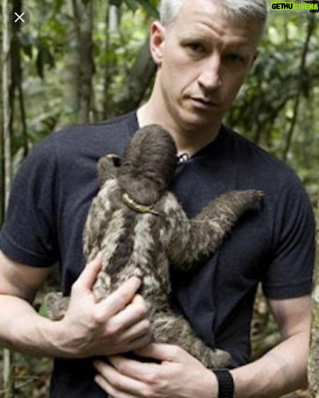 Anderson Cooper Instagram - #tbt Taken in the Amazon, releasing a sloth back into the wild. I love sloths. circa 2006