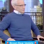 Anderson Cooper Instagram - 🚨 Brown Bear Update 🚨 @andersoncooper