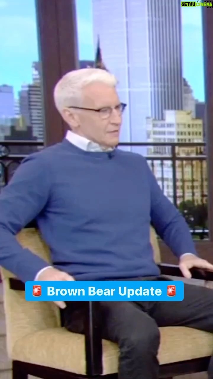 Anderson Cooper Instagram - 🚨 Brown Bear Update 🚨 @andersoncooper