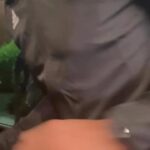 Anderson Silva Instagram - E seu um dia me perguntarem se valeu a pena vou olha para trás e reviver todas as minhas frustrações, todas as minhas desilusões. Revive-las com maior intensidade que antes; Reviver todas as minhas alegrias exatamente como foram, quantas noites de sono perdidas por razões que hoje são nada, Reviveria todos os medos que me impediram de caminhar, todas as frustrações que me fizeram prometer não fazer igual outra vez, e todas as vezes que refiz exatamente igual. Olharia para trás e perguntaria a mim mesmo: VALEU A PENA? E mais uma vez reviveria tudo EXATAMENTE COMO FOI independente das imperfeições faça o seu melhor hoje e sempre (Jaime Pereira)