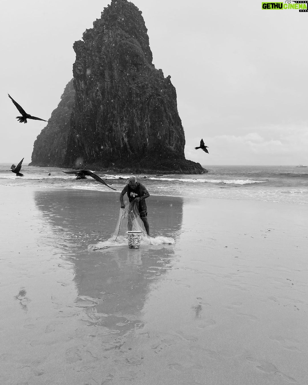 André Lamoglia - 739.7K Likes - Solzinho, Noronha…
Também gostamos de chuva. ❣️