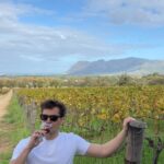 André Lamoglia Instagram - I still have to do a safari here 🇿🇦 Cape Town, South Africa