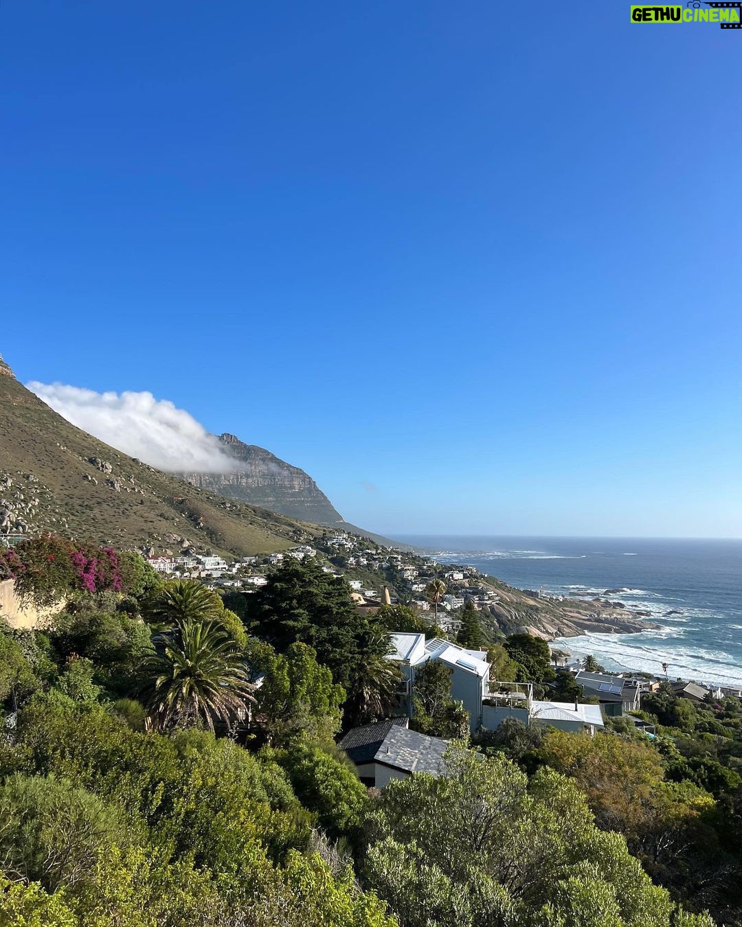 André Lamoglia Instagram - I still have to do a safari here 🇿🇦 Cape Town, South Africa
