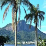 André Lamoglia Instagram - Lindo de Janeiro 🥲🫶🏼 Rio de Janeiro, Rio de Janeiro