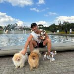André Luiz Frambach Instagram – Impossível não chorar, impossível não sentir dor, impossível esquecer de você minha raposinha, minha charmosa, minha metida!!! Você era única, um coração tão tão grande que não cabia dentro de você, todos diziam que nem viver você conseguiria porém foram 5 anos vividos, e nesses últimos meses principalmente VIVEU o que merecia ter vivido a vida toda, com muito amor, muitos irmãos, livre e recebendo toda atenção e carinho possível! A gente sabe como os cachorros são os animais mais puros e sinceros, e por toda essa pureza deles eles absorvem muita coisa externa. Meguinha tinha um problema seríssimo no coração, problema cardíaco grave, sabíamos que em qualquer momento um mau súbito poderia acontecer, mas desde que ela esteve com a gente, nunca “podamos” ela de viver do jeito que ela queria, foram muitas brincadeiras, correrias, felicidade e amor acima de tudo. Hj ela faleceu enquanto dormia no quarto do papai e da mamãe dela! Nos te amamos muito minha filha. Espero que você volte pra gente em breve, estaremos te aguardando aqui nesse plano! Queria ter convivido e vivido mais com você. Obrigado pela sua delicadeza, pelo seu carinho cmg, pelo seu amor, por ter sido a primeira a acolher a nalinha sua irmã gigante ahhahahahaha. Somos e seremos sempre uma família, e estaremos esperando você novamente se assim papai do céu quiser! TE AMO MINHA RAPOSA