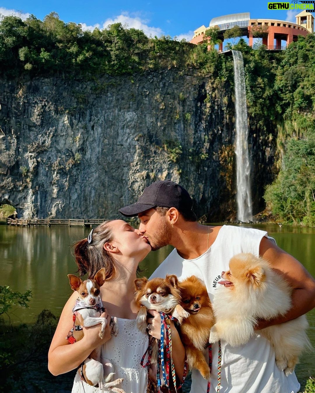 André Luiz Frambach Instagram - Impossível não chorar, impossível não sentir dor, impossível esquecer de você minha raposinha, minha charmosa, minha metida!!! Você era única, um coração tão tão grande que não cabia dentro de você, todos diziam que nem viver você conseguiria porém foram 5 anos vividos, e nesses últimos meses principalmente VIVEU o que merecia ter vivido a vida toda, com muito amor, muitos irmãos, livre e recebendo toda atenção e carinho possível! A gente sabe como os cachorros são os animais mais puros e sinceros, e por toda essa pureza deles eles absorvem muita coisa externa. Meguinha tinha um problema seríssimo no coração, problema cardíaco grave, sabíamos que em qualquer momento um mau súbito poderia acontecer, mas desde que ela esteve com a gente, nunca “podamos” ela de viver do jeito que ela queria, foram muitas brincadeiras, correrias, felicidade e amor acima de tudo. Hj ela faleceu enquanto dormia no quarto do papai e da mamãe dela! Nos te amamos muito minha filha. Espero que você volte pra gente em breve, estaremos te aguardando aqui nesse plano! Queria ter convivido e vivido mais com você. Obrigado pela sua delicadeza, pelo seu carinho cmg, pelo seu amor, por ter sido a primeira a acolher a nalinha sua irmã gigante ahhahahahaha. Somos e seremos sempre uma família, e estaremos esperando você novamente se assim papai do céu quiser! TE AMO MINHA RAPOSA
