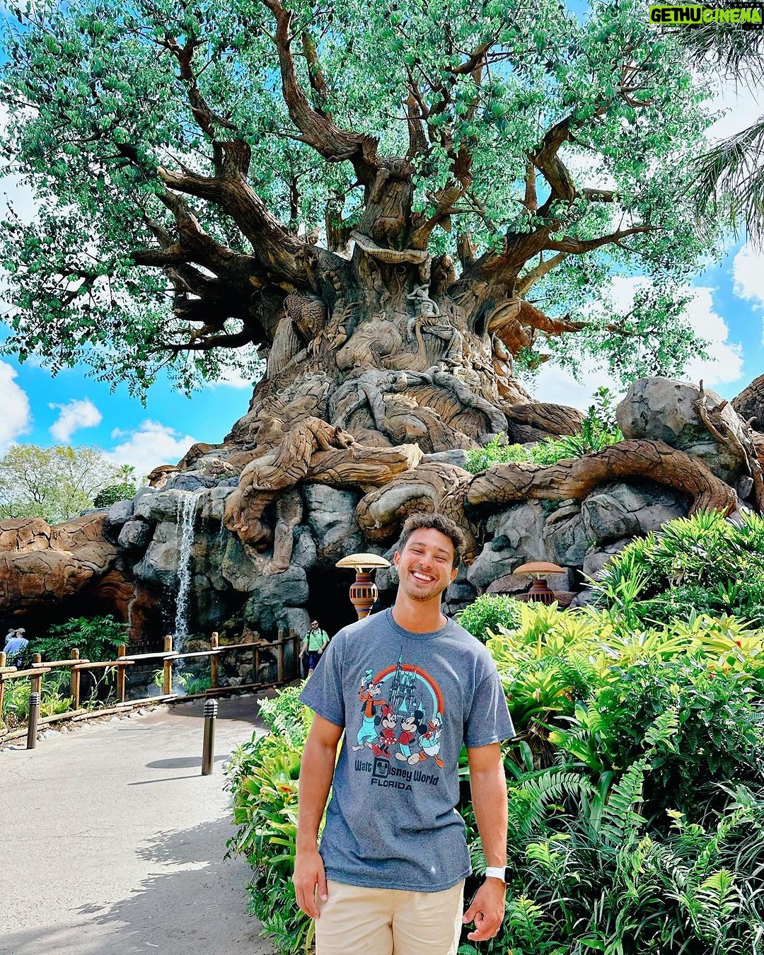 André Luiz Frambach Instagram - Essa viagem ❤️🪄
