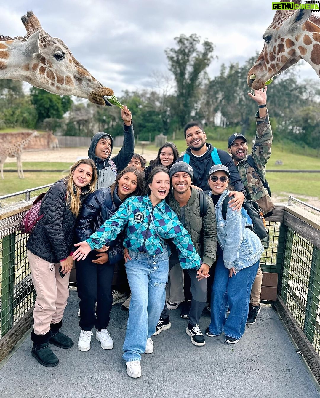 Andr茅 Luiz Frambach Instagram - Ontem foi dia de sentir a adrenalina espalhar por todo corpo, s贸 brinquedo sinistro de bom 馃帰馃挜 @buschgardensbr Busch Gardens, Tampa Bay, Florida