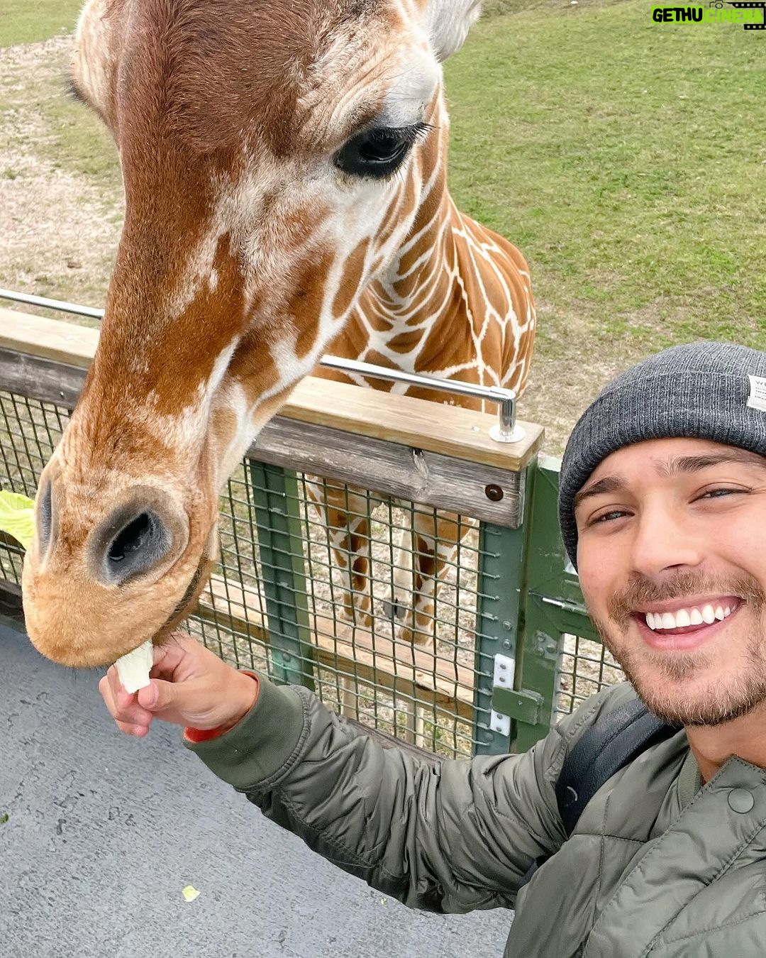 Andr茅 Luiz Frambach Instagram - Ontem foi dia de sentir a adrenalina espalhar por todo corpo, s贸 brinquedo sinistro de bom 馃帰馃挜 @buschgardensbr Busch Gardens, Tampa Bay, Florida