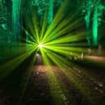Andrea Barber Instagram - Had a fun mom-daughter date with Felicity at the Enchanted Forest of Light! 💫🌲 Enchanted Forest at Descanso Gardens
