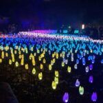 Andrea Barber Instagram - Had a fun mom-daughter date with Felicity at the Enchanted Forest of Light! 💫🌲 Enchanted Forest at Descanso Gardens