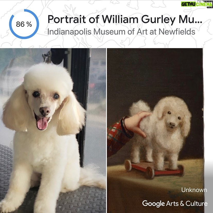 Andrea Barber Instagram - Art is beautiful! And my Holly is a work of art! So much fun finding the pawfect match of art on @Googleartsculture’s new camera feature #PetPortraits. Check it out!