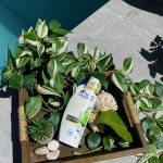 Andrea Brillantes Instagram - I’m never going back to pagtiti-ITCH! 😅 ‘Di natin yan ikakaganda o ikakapresko! #LetITCHGo with Head & Shoulders Apple Fresh na amoy fresh na nga, itch-free at dandruff-free pa! 😌🍃 Kaya, now more than ever, I realized I should use @headandshouldersph everyday - no exceptions! #LetITCHGo with Head & Shoulders for #NoITCHuations! #PaidPartnership #Ad #sponsored