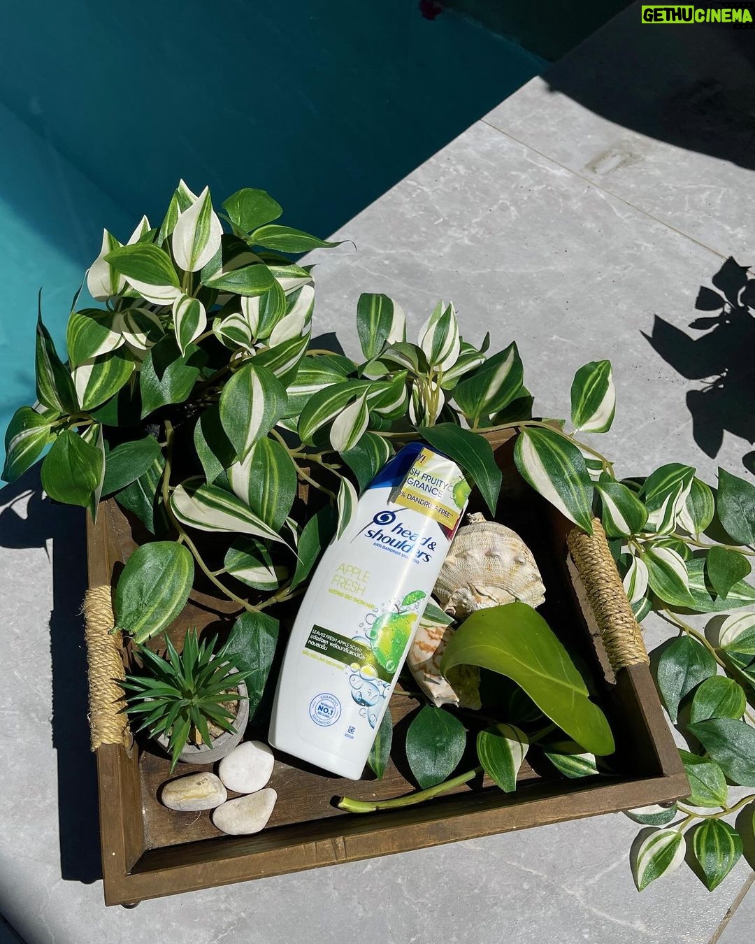Andrea Brillantes Instagram - I’m never going back to pagtiti-ITCH! 😅 ‘Di natin yan ikakaganda o ikakapresko! #LetITCHGo with Head & Shoulders Apple Fresh na amoy fresh na nga, itch-free at dandruff-free pa! 😌🍃 Kaya, now more than ever, I realized I should use @headandshouldersph everyday - no exceptions! #LetITCHGo with Head & Shoulders for #NoITCHuations! #PaidPartnership #Ad #sponsored