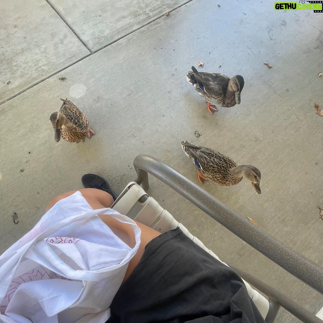 Andrea Russett Instagram - what a year it’s been. never did i ever imagine my journey would include going to rehab… multiple times. but i’m thankful i found the courage and bravery to do so. this last year includes a lot of other things but i want to focus on my journey of getting sober. it was so fucking scary to admit that i needed rehab and that this “issue” wasn’t something i could fix on my own. i’m so thankful that i dug deep and found the courage and bravery to commit to a program and see it through, everytime i went. i knew nothing about rehab, or what i was signing up for. but i was met with the kindest, most understanding strangers who are now life long friends. to be surrounded by people who you don’t know at all, yet understand such a deep and scary part of yourself because they too live it was so healing. i want to dedicate my “end of the year” post to everyone still struggling in silence. i hope you know that you don’t have to live that way. there is a way out, and it’s a lot less scary than your brain is convincing you it is. it’s not easy, but it’s worth it. thank you for sticking by me, encouraging me, and believing in me. i’m no where near where i want to be in my sobriety, but everyday i get the chance to get closer, and i’d choose that over spending another day blacked out at 10am everytime. we do heal. we do recover. and best of all, we have each other to lean on. i love you 🥺♥️