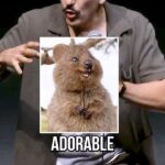Andrew Schulz Instagram - The most adorable little beings on planet earth… #TheLifeTour