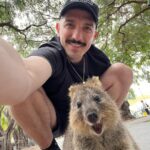 Andrew Schulz Instagram – AUSTRALIA we are inside you. 
Quokka selfie ✅
Perth see you bogans tonight for two shows. 

#TheLifeTourAustralia Rottnest Island, Western Australia