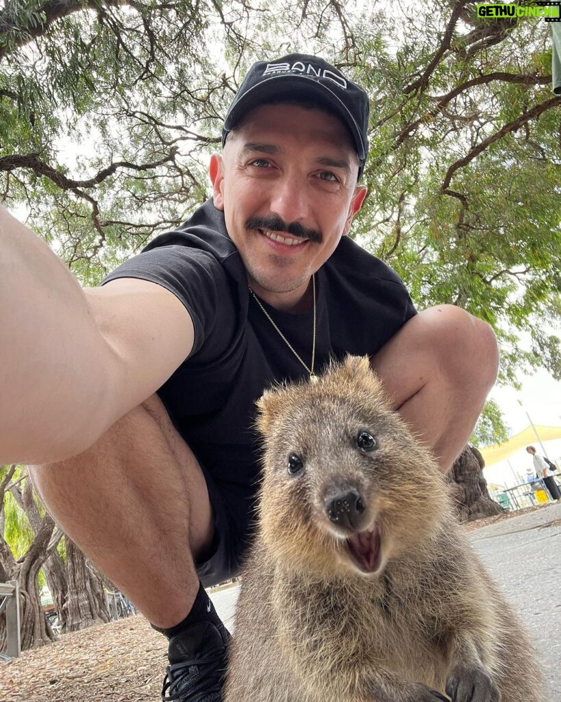 Andrew Schulz Instagram - AUSTRALIA we are inside you. Quokka selfie ✅ Perth see you bogans tonight for two shows. #TheLifeTourAustralia Rottnest Island, Western Australia