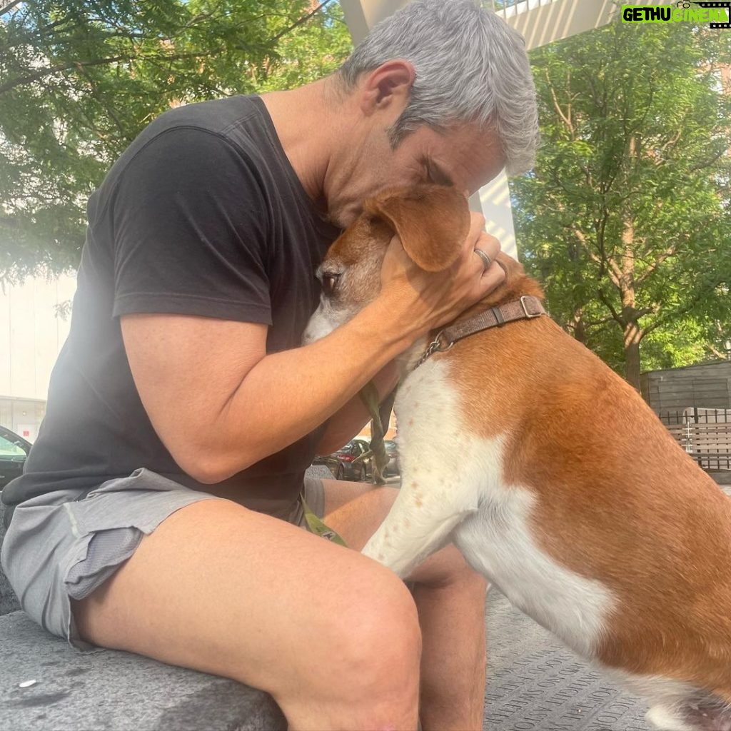 Andy Cohen Instagram - Saw an old friend yesterday. It was heaven ❤️