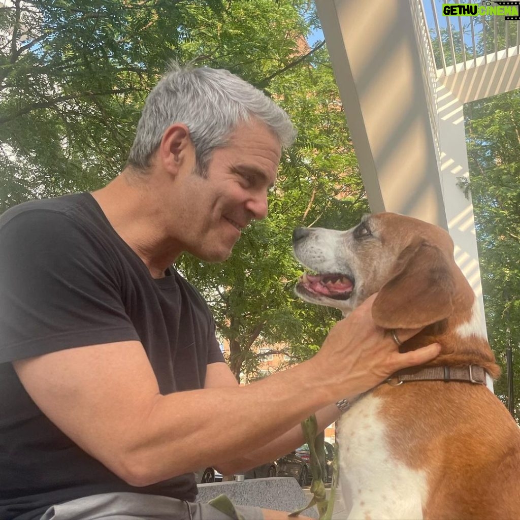Andy Cohen Instagram - Saw an old friend yesterday. It was heaven ❤