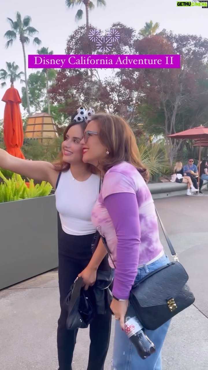 Angélica Vale Instagram - Gracias a todos por pasar una noche maravillosa con nosotros 😍🎢✨🏰
