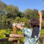 Angélica Vale Instagram - No podía faltar ir a ‘Kilimanjaro Safaris‘ en Disney’s Animal Kingdom 🦁🧡 @waltdisneyworld @disneyworld.latino