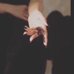 AngelaBaby Instagram - 🖤❤️‍🔥🖤 #georgeshobeika