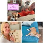 Angela Kinsey Instagram – I love these two so much. Biscuit & Buster. Biscuit will bark at anyone and anything for as long as it takes. Buster doesn’t like wet grass. They both love to snuggle but do not move Biscuit’s blanket or else… and Buster might pee himself if too many guests arrive at once. Happy #nationaldogday 🥰 #internationaldogday
