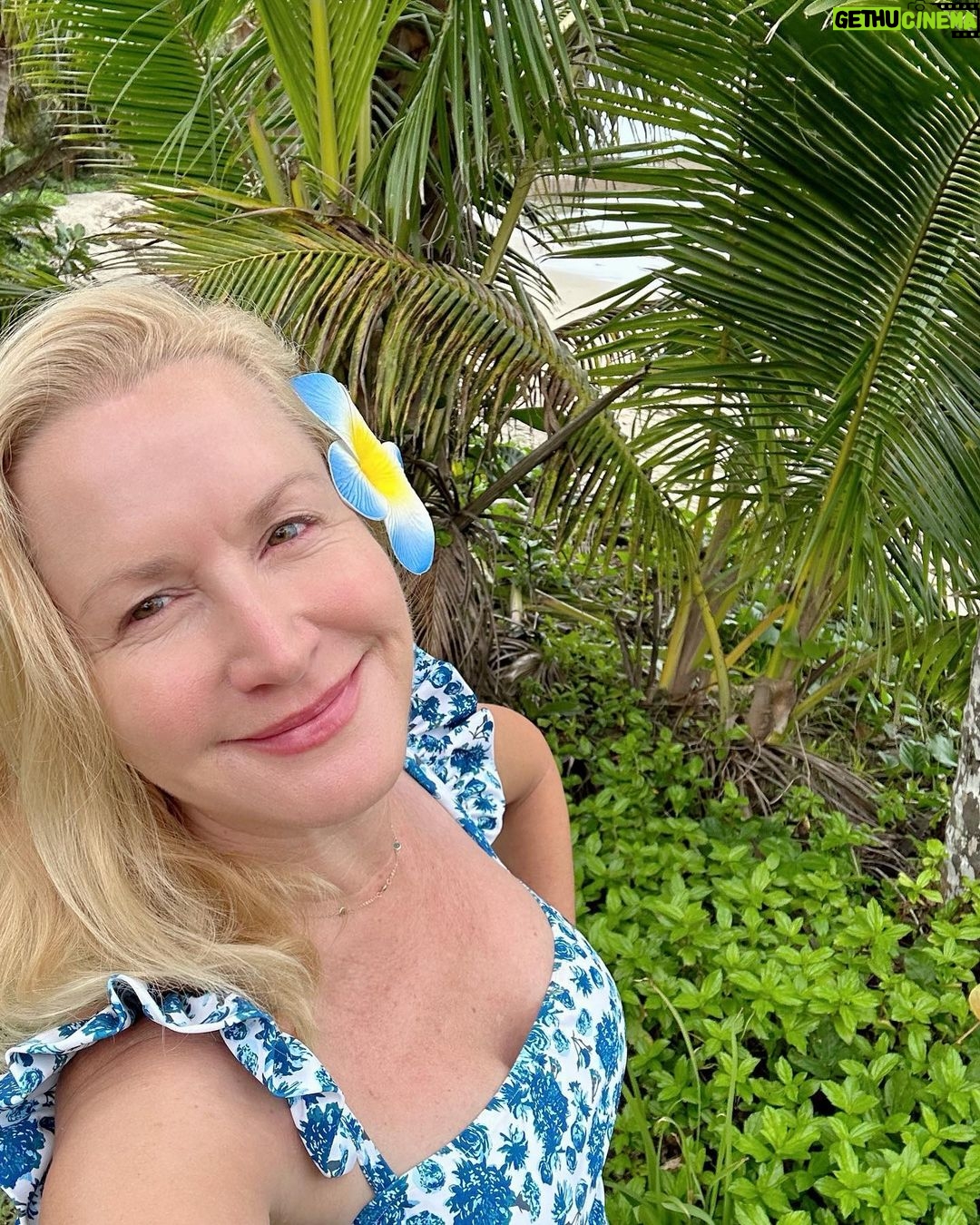 Angela Kinsey - 51.9K Likes - Fiji! You were a dream! I'm so thankful for this time my family had together in such a wonderful place. Thank you to all of the people we met in Fiji that showed us their beautiful country! Bula Vinaka!❤️ @nanukuresort @river_tubing_fiji @craftedescapes
