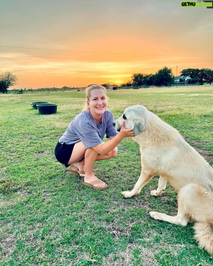Angela Kinsey Instagram - Meet Caroline the goat herding dog… she’s the sweetest and takes such good care of her goats! ❤