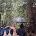 Angela Kinsey Instagram – When your Dad downloads the Nature Center guide to his phone and makes you stop by every tree even in a down pour to read you all the details. 😂❤️ @joshuasnyder I love this about you. #familyroadtrip