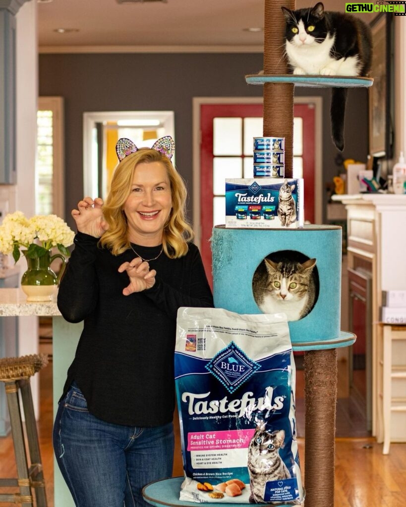 Angela Kinsey Instagram - #ad Just a couple of kittens out on the town! Happy Cat Thursday! As a cat parent, I’m always looking for ways to keep my cats, Oreo and Snickers, happy and healthy! And the folks at @bluebuffalo have created a perfect solution! Their BLUE Tastefuls line for cats has a wide variety of healthy and delicious food specially crafted to entice even the most finicky felines while delivering high-quality nutrition through natural ingredients. BLUE Tastefuls is now available in both dry and wet food options. Click the link in my bio to learn more about Blue Buffalo, the nation’s leading natural pet food company! 😼 @bluebuffalo #BlueBuffaloPartner #BlueBuffalo