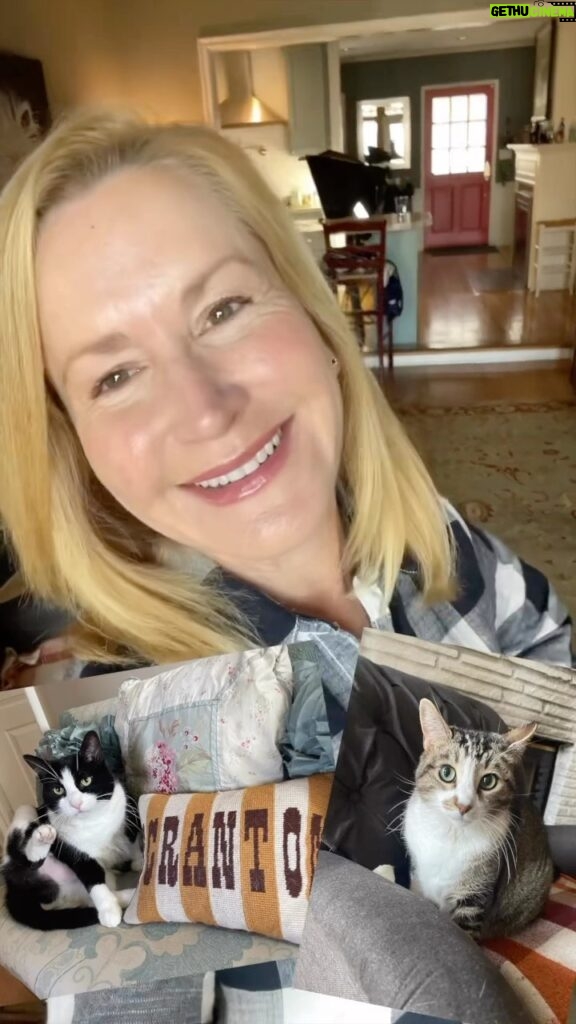Angela Kinsey Instagram - #Ad Meet my cats, Oreo & Snickers! They are sassy, chatty and both picky eaters. Thankfully, our friends at @bluebuffalo have created a perfect solution for us! Their BLUE Tastefuls line for cats has a wide variety of healthy and delicious food specially crafted to entice even the most finicky felines (Snickers, I’m looking at you) while delivering high-quality nutrition through natural ingredients. And as a cat parent, I’m always looking for ways to keep my cats happy and healthy! BLUE Tastefuls is now available in both dry and wet food options. The wet food is available in cans and convenient, single serve twin-packs called Tastefuls Singles. Click the link in my bio to learn more about Blue Buffalo, the nation’s leading natural pet food company! And if you want to see some sass, watch my reel to the end. 😼 @BlueBuffalo #BlueBuffaloPartner #bluebuffalo