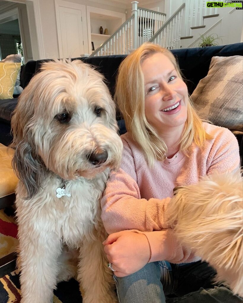 Angela Kinsey Instagram - New best pal?? My friend, Kathy’s dog… Louie. I love him. (Also Daisy is pretty great too… just more camera shy.)