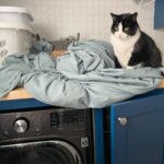 Angela Kinsey Instagram - Me and my laundry buddy. She is chatty and judge-y.