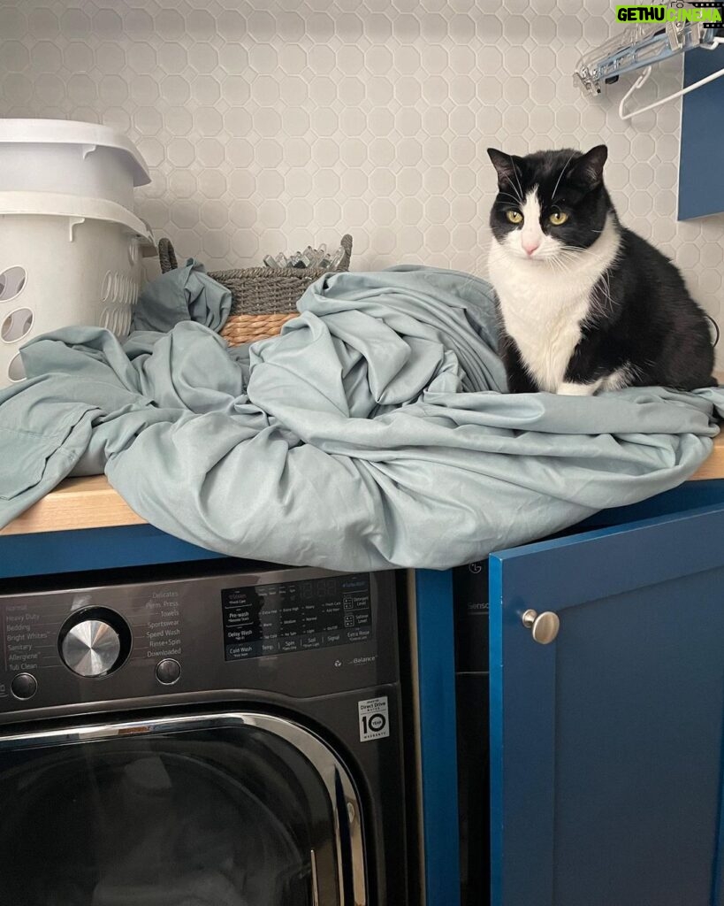 Angela Kinsey Instagram - Me and my laundry buddy. She is chatty and judge-y.