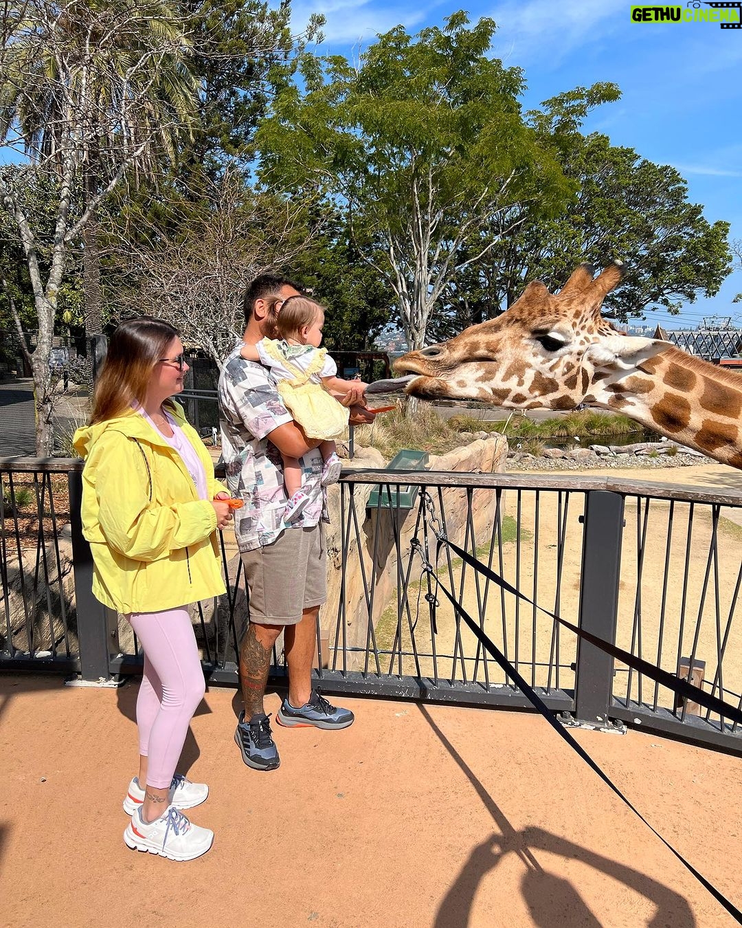 Angelica Panganiban Instagram - A day well spent at the zoo π¦ π¨ π π¨βπ©βπ§ Naglakad po tayo ng 7hrs. May kargang bata. Minsan tulak sa pram. Madalas nagpadede. Opo. Sino pong pagod? π pero ngiti tayo opo. Sayang naman ang experience π€ΈπΌββοΈ Taronga Zoo Sydney
