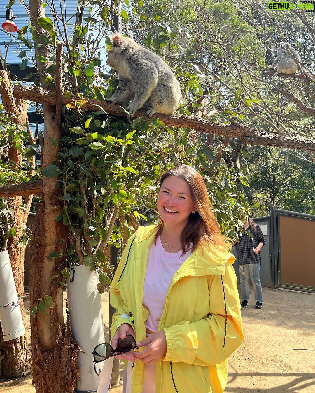 Angelica Panganiban Instagram - A day well spent at the zoo π¦ π¨ π π¨βπ©βπ§ Naglakad po tayo ng 7hrs. May kargang bata. Minsan tulak sa pram. Madalas nagpadede. Opo. Sino pong pagod? π pero ngiti tayo opo. Sayang naman ang experience π€ΈπΌββοΈ Taronga Zoo Sydney