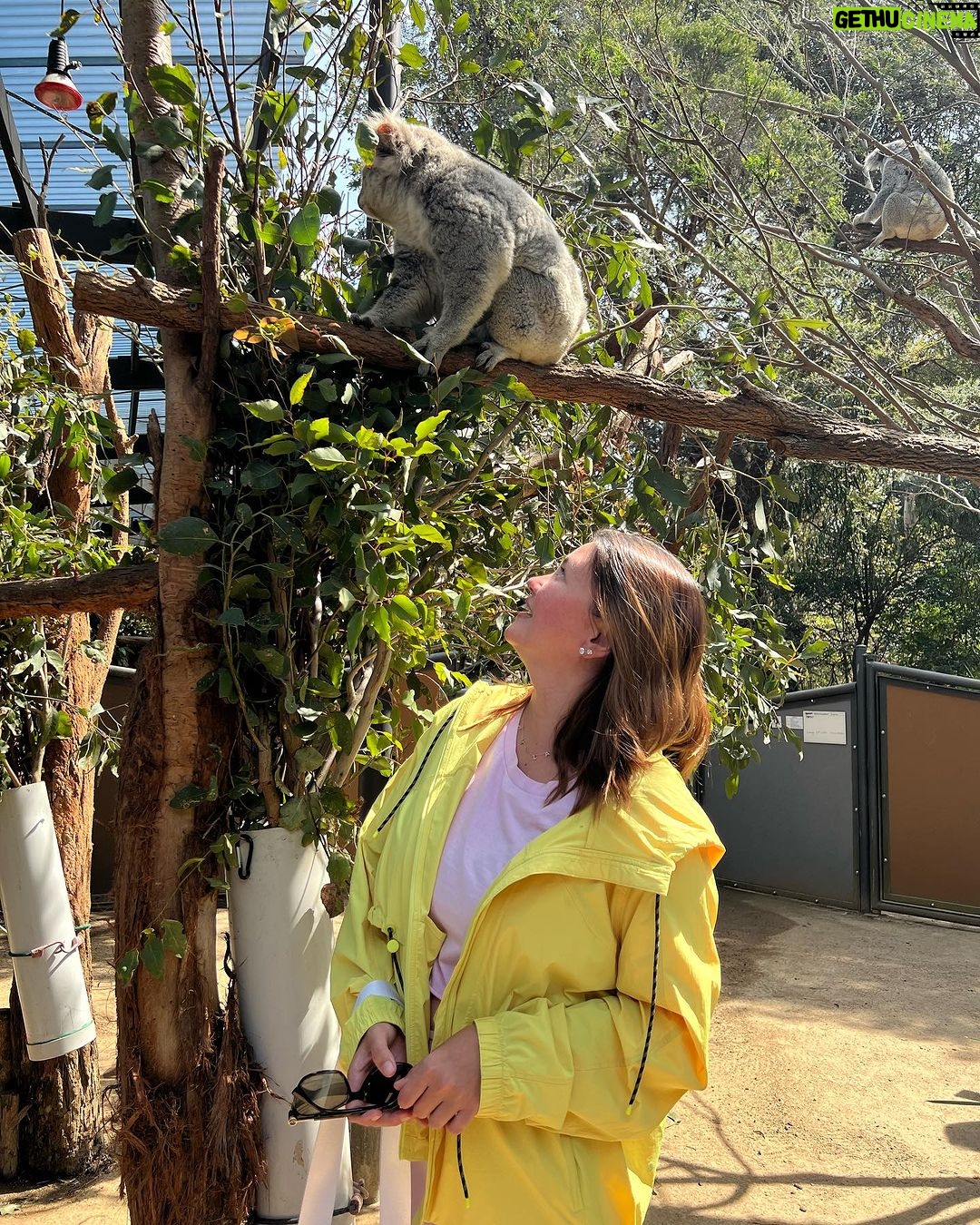 Angelica Panganiban Instagram - A day well spent at the zoo π¦ π¨ π π¨βπ©βπ§ Naglakad po tayo ng 7hrs. May kargang bata. Minsan tulak sa pram. Madalas nagpadede. Opo. Sino pong pagod? π pero ngiti tayo opo. Sayang naman ang experience π€ΈπΌββοΈ Taronga Zoo Sydney