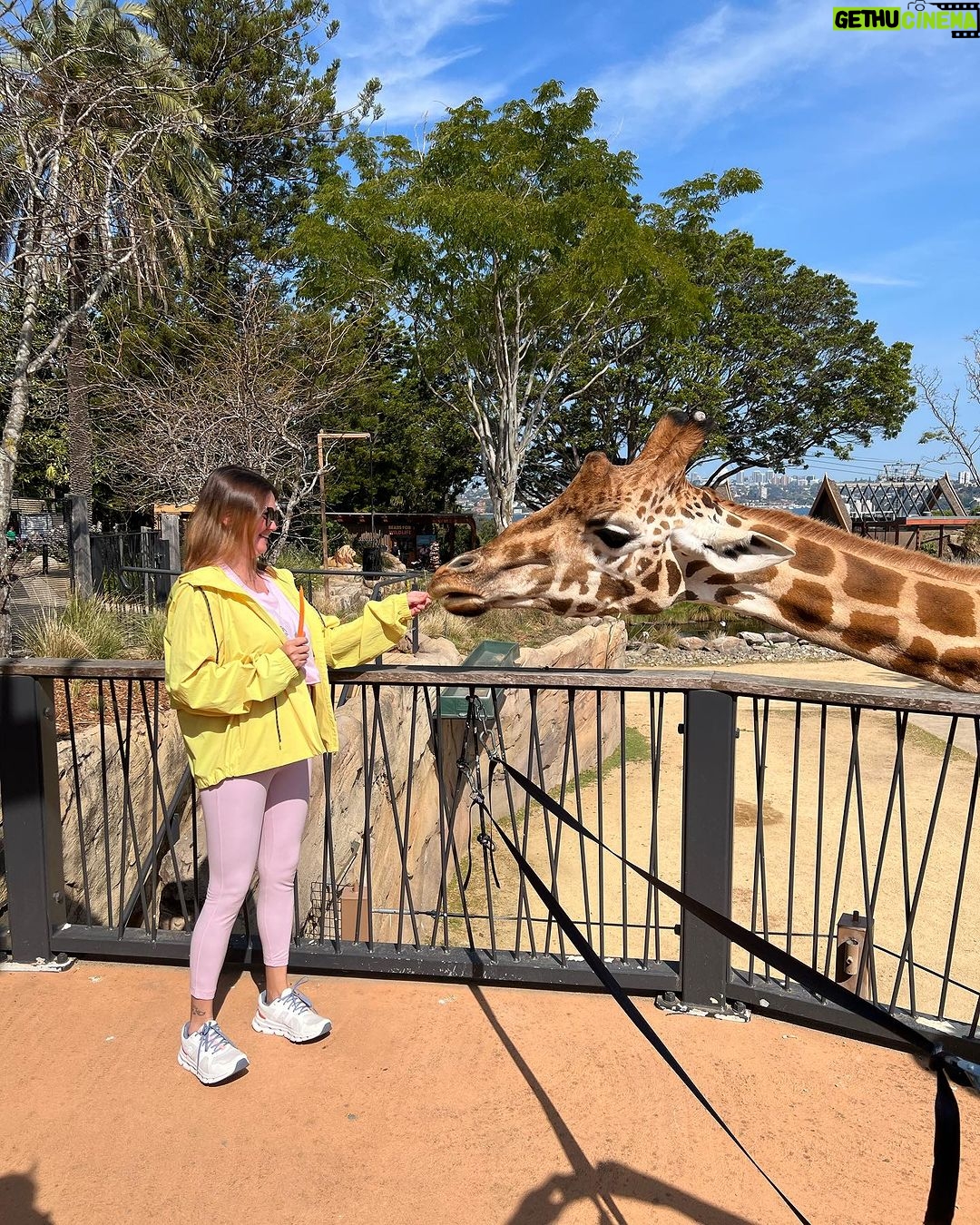 Angelica Panganiban Instagram - A day well spent at the zoo π¦ π¨ π π¨βπ©βπ§ Naglakad po tayo ng 7hrs. May kargang bata. Minsan tulak sa pram. Madalas nagpadede. Opo. Sino pong pagod? π pero ngiti tayo opo. Sayang naman ang experience π€ΈπΌββοΈ Taronga Zoo Sydney