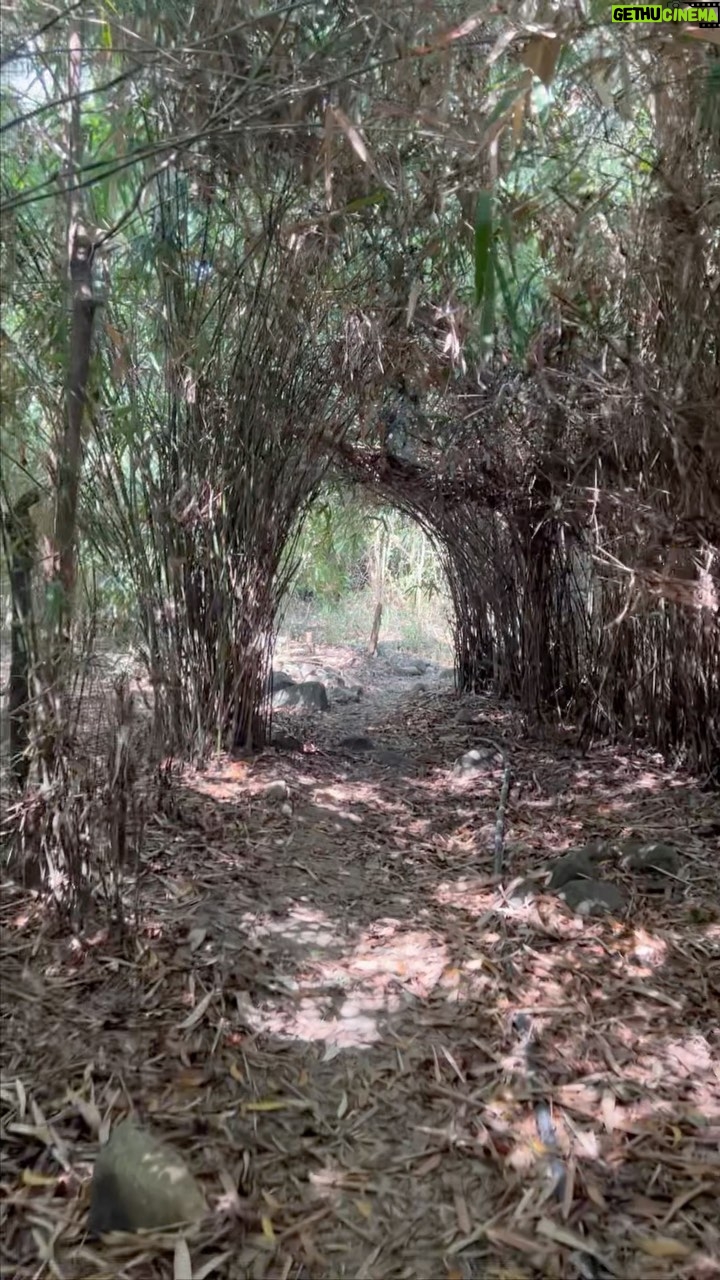Angelica Panganiban Instagram - Hidden gem 💎 Sampaloc Cove