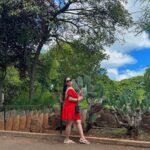 Angeline Quinto Instagram – Zoo time for Sylvio🦍🐈
@babysylvio 👶 Honolulu Zoo